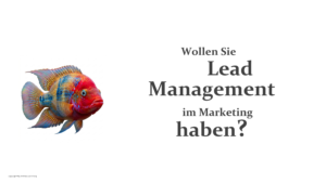 Lead Management