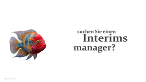 Interims Management