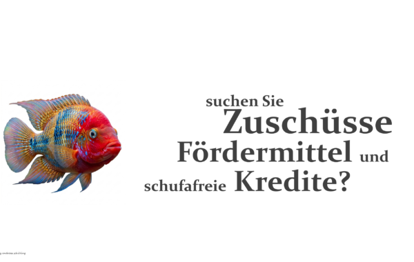 TOP 15 Fördermittel