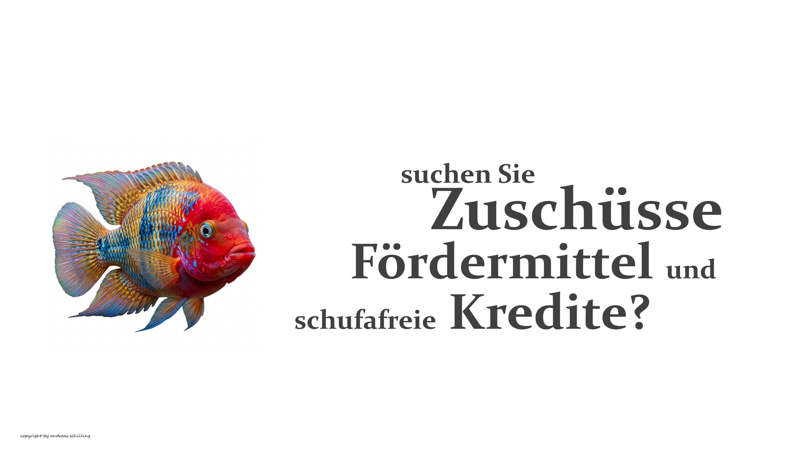 TOP 15 Fördermittel