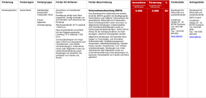 Fördermittel – BAFA Unternehmensberatung