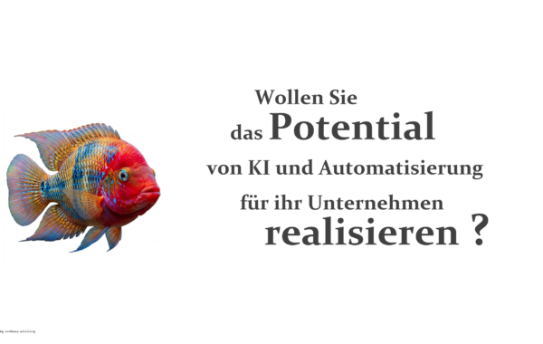 KI & Automatisierung